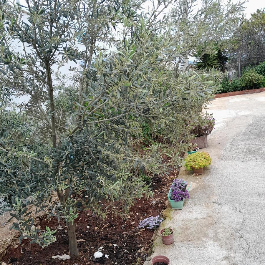 Denni’s Home Sarandë Eksteriør billede