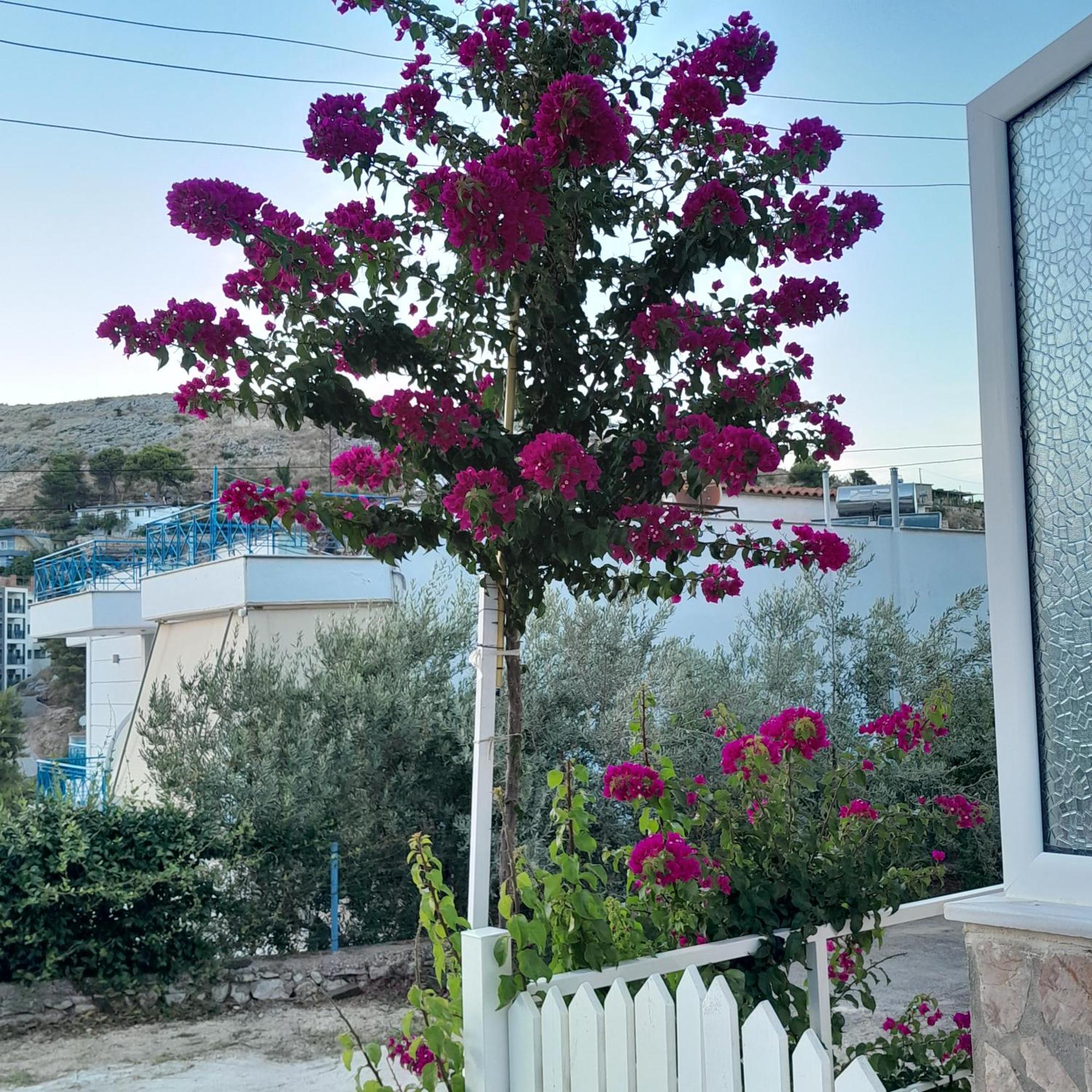 Denni’s Home Sarandë Eksteriør billede