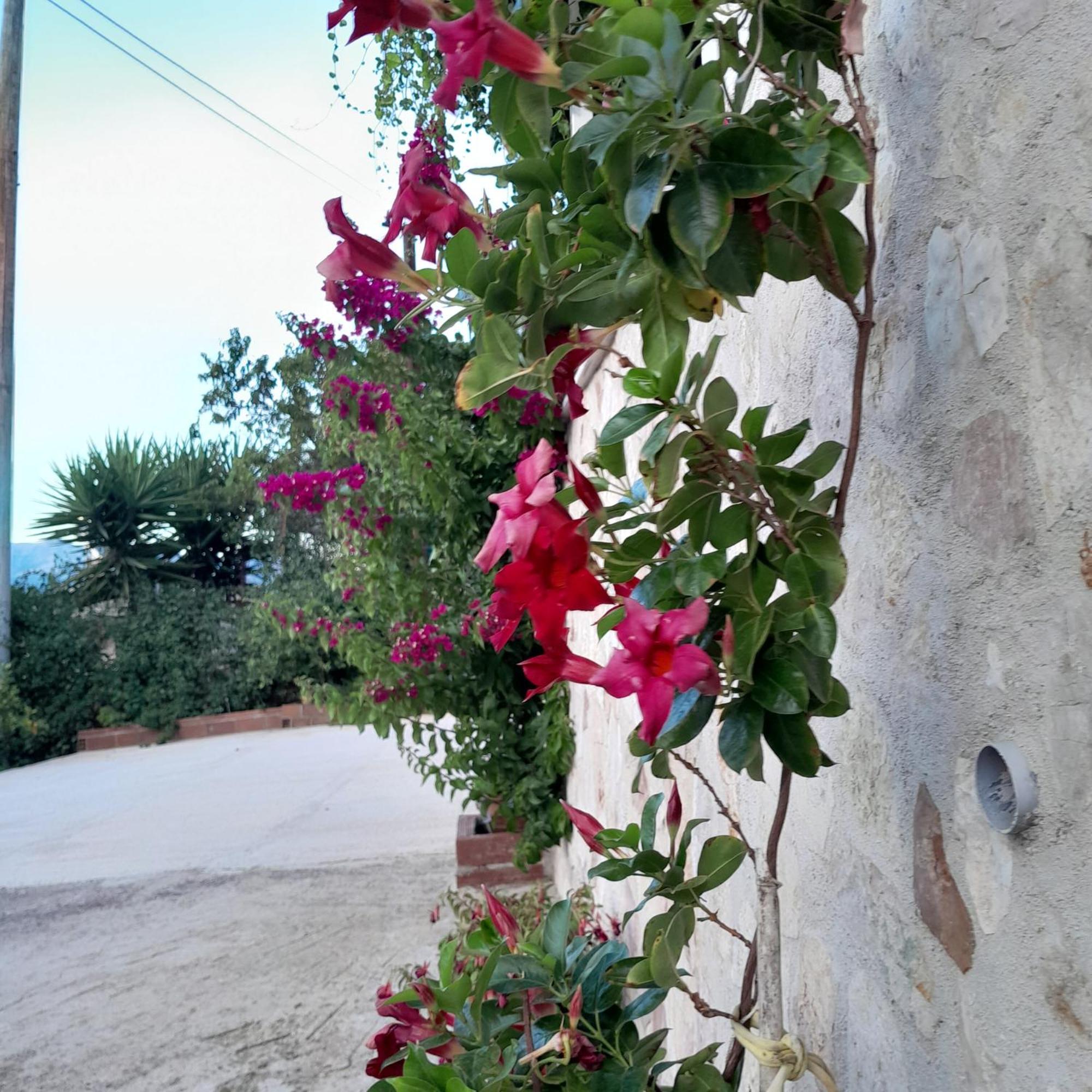 Denni’s Home Sarandë Eksteriør billede