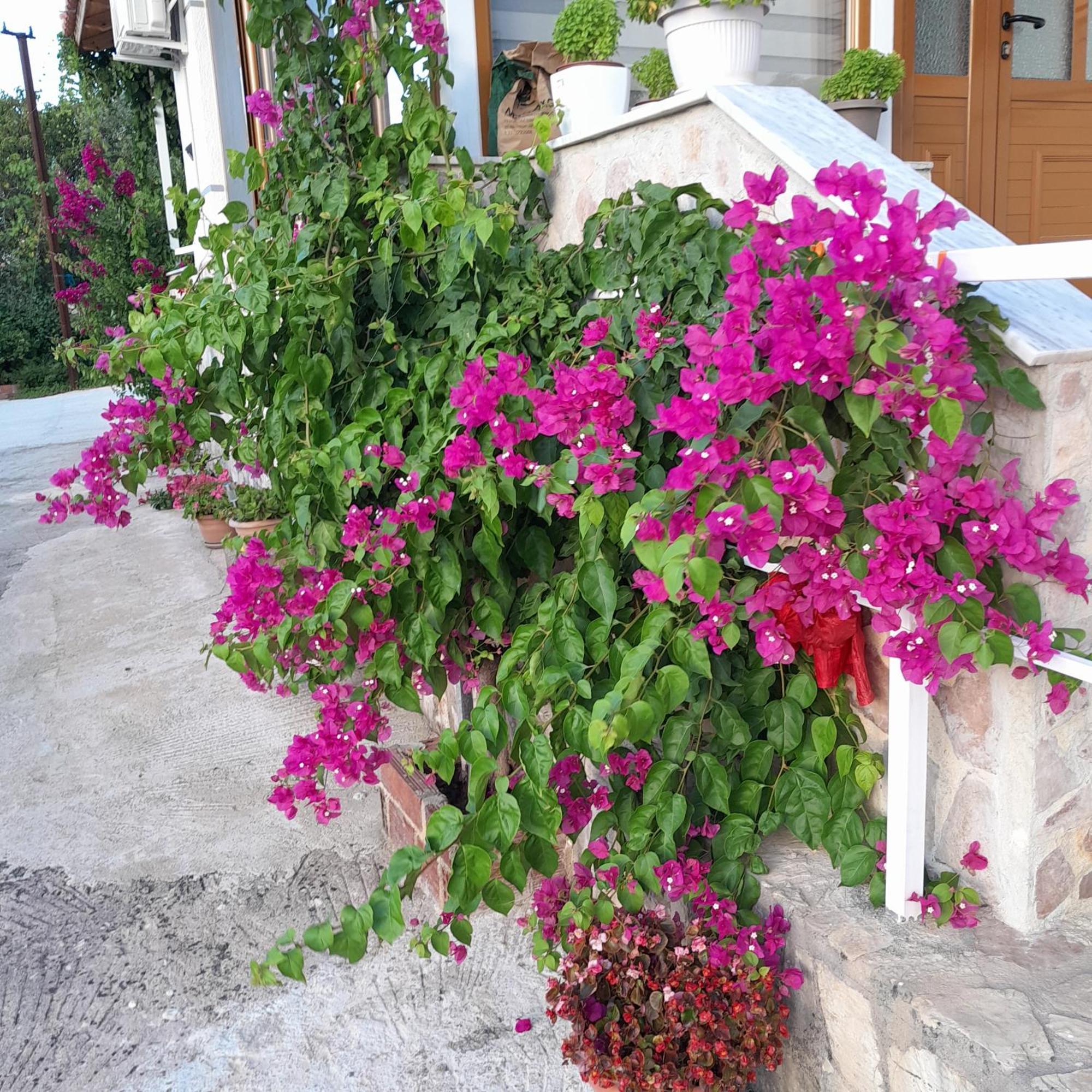 Denni’s Home Sarandë Eksteriør billede