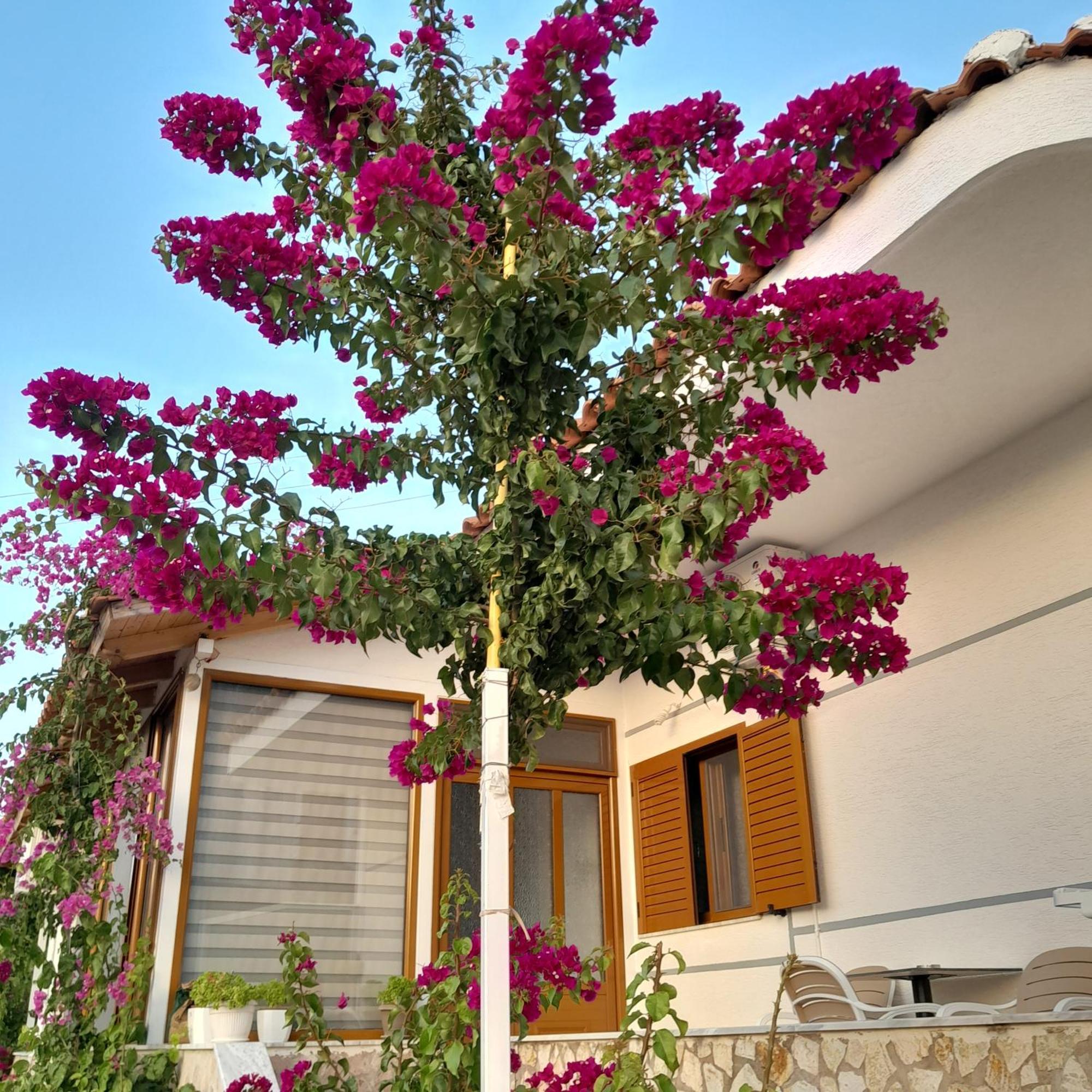 Denni’s Home Sarandë Eksteriør billede